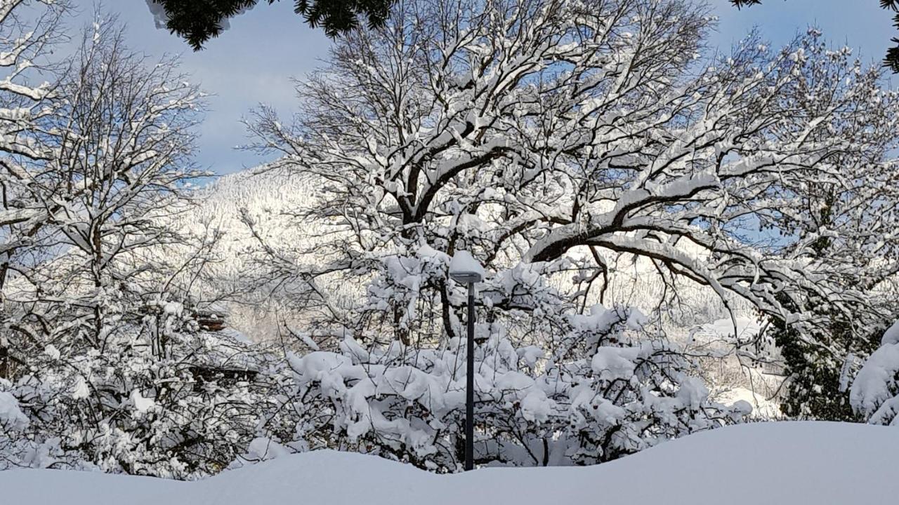 The Little Guesthouse Salzburg Bagian luar foto