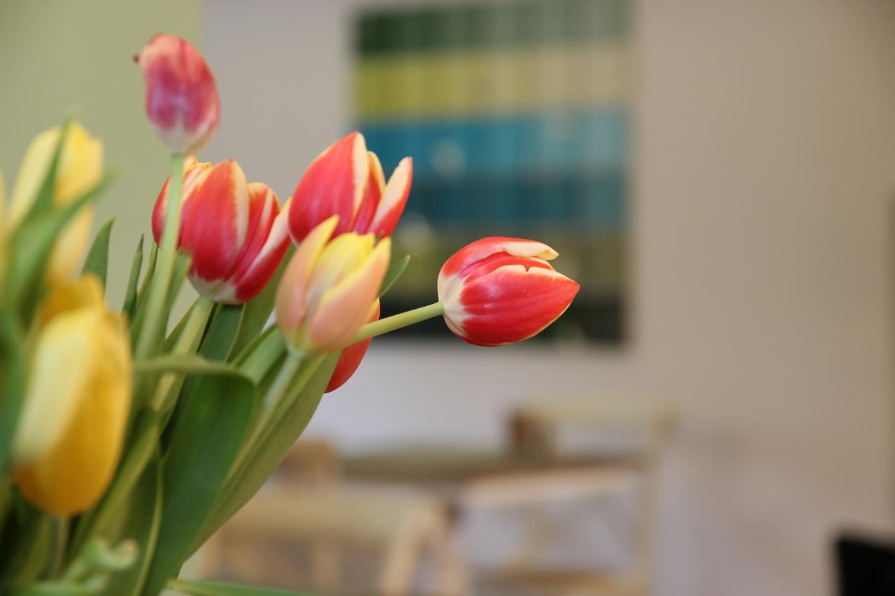 The Little Guesthouse Salzburg Bagian luar foto